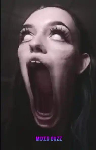 Play Time Warp Scan - Warp filters as an online game Time Warp Scan - Warp filters with UptoPlay