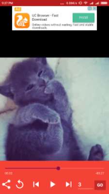 Play 1000+ Funny Cats Videos 