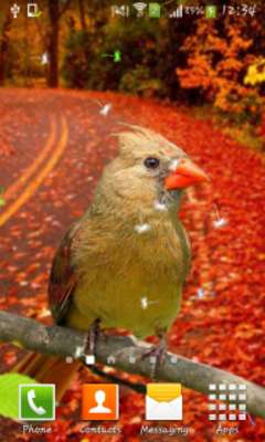 Play 3D Birds Live Wallpaper for S5 