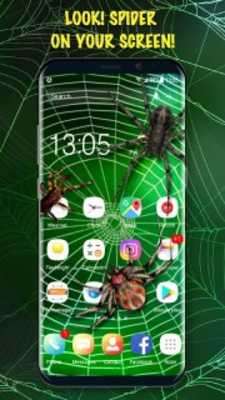 Play 3D Spider on Screen Live Wallpaper for Prank Play 3D Spider on Screen Live Wallpaper for Prank
