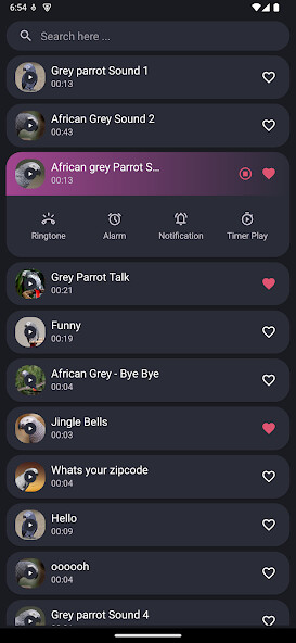 Play African grey parrot Sounds 