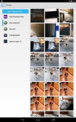 Play AllCast Premium Play AllCast Premium