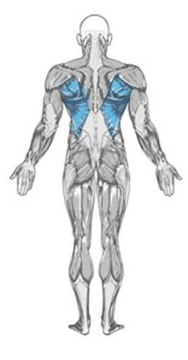 Play APK all lats exercices  and enjoy all lats exercices with UptoPlay com.andromo.dev614880.app644567