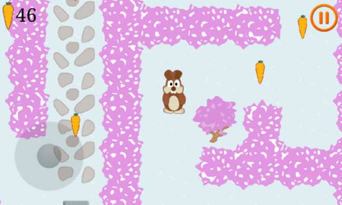 Play Amazing Carrot Maze Game 