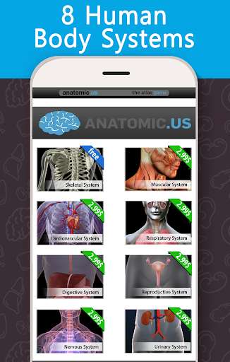 Play APK Anatomy Game Anatomicus Lite  and enjoy Anatomy Game Anatomicus Lite with UptoPlay air.Anatomicus.AnatomyGame.Lite