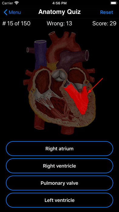 Play Anatomy Quiz 