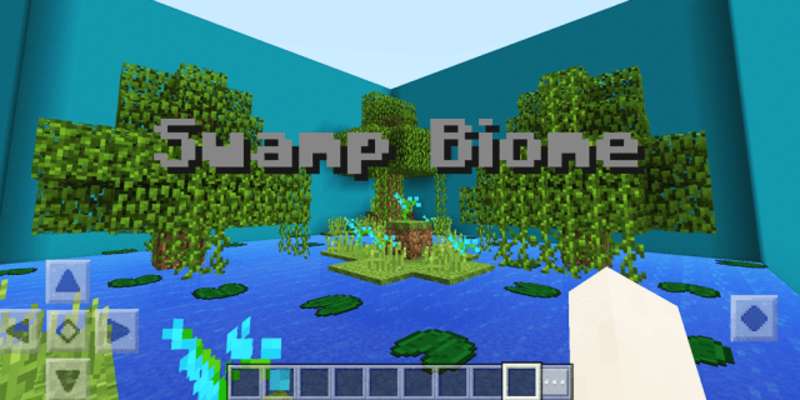 Play And where's the button? Biomies Map for Minecraft 