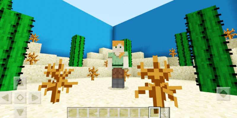 Play And where's the button? Biomies Map for Minecraft 