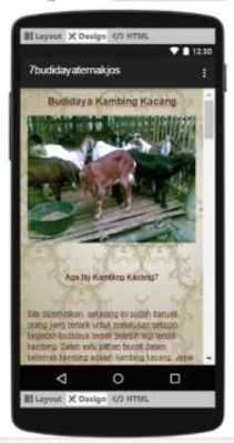 Play Aneka Budidaya Ternak 