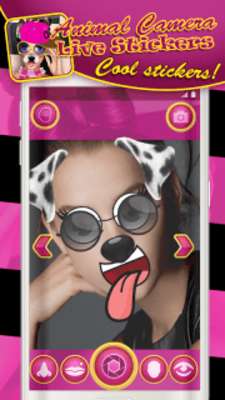 Play Animal Camera Live Stickers 