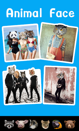 Play Animal Face 