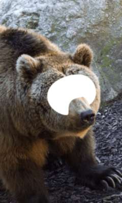 Play Animal Photo Montage Editor 