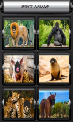 Play Animal Photo Montage 