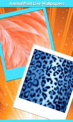 Play Animal Print Live Wallpapers 