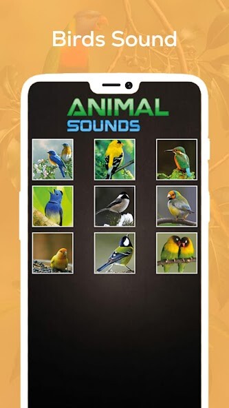 Play APK Animal Sound for Kids  and enjoy Animal Sound for Kids with UptoPlay babyAnimal.andorid