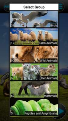 Play Animal Sounds 2017 Play Animal Sounds 2017