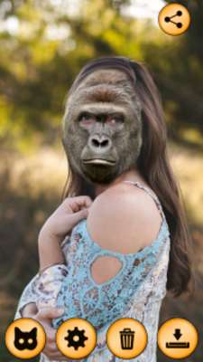 Play Animal Yourself Face Swap Play Animal Yourself Face Swap