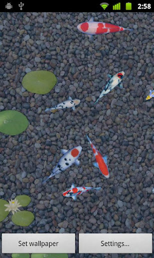 Play aniPet Koi Live Wallpaper 