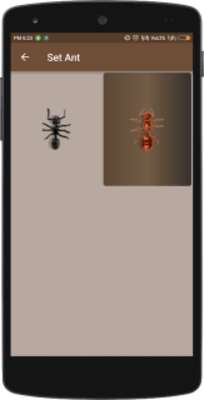Play Ant Smash LiveWallpaper 