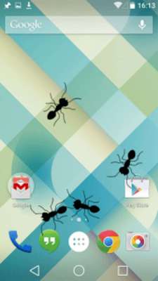 Play Ants on Screen Prank App: Funny Animated Gif 