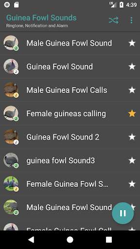Play Appp.io - Guinea Fowl Sounds & Calls  and enjoy Appp.io - Guinea Fowl Sounds & Calls with UptoPlay