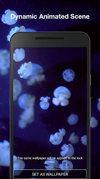 Play Aquarium 3D Live Wallpaper Pro 