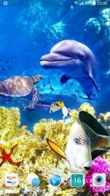 Play Aquarium Fish Live Wallpaper 2019 Play Aquarium Fish Live Wallpaper 2019
