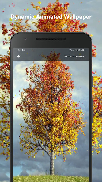 Play APK Autumn Maple Live Wallpaper  and enjoy Autumn Maple Live Wallpaper with UptoPlay com.flyingfox.ripple_autumn_maple_free