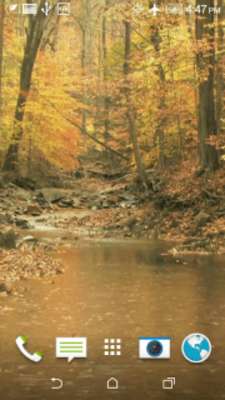 Play Autumn Rain Video Wallpaper 