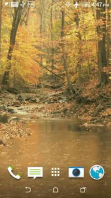 Play Autumn Rain Video Wallpaper 
