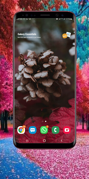 Play APK Autumn Wallpaper HD  and enjoy Autumn Wallpaper HD with UptoPlay com.myapps.AutumnWallpaperHDAG