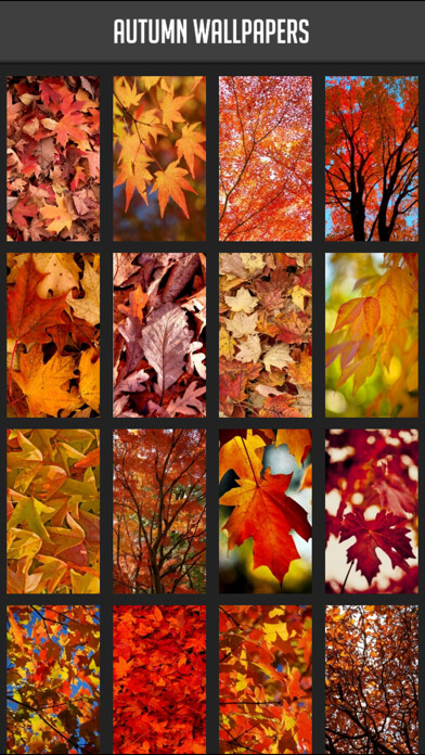 Play APK Autumn Wallpapers  and enjoy Autumn Wallpapers with UptoPlay com.mamosoft.sonbaharwallpaper