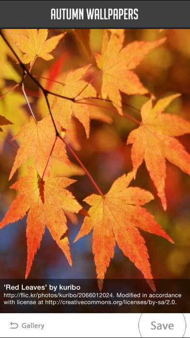 Play APK Autumn Wallpapers  and enjoy Autumn Wallpapers with UptoPlay com.mamosoft.sonbaharwallpaper