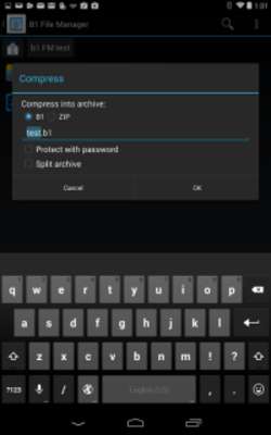 Play B1 File Manager 