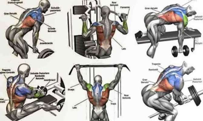 Play Back Workouts 