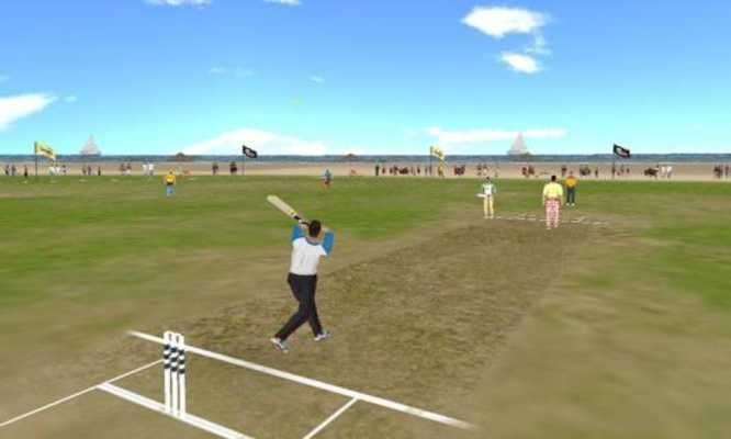 Play Beach Cricket Pro 