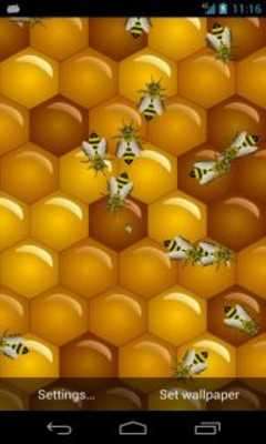 Play Bee Live Wallpaper 