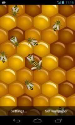 Play Bee Live Wallpaper 