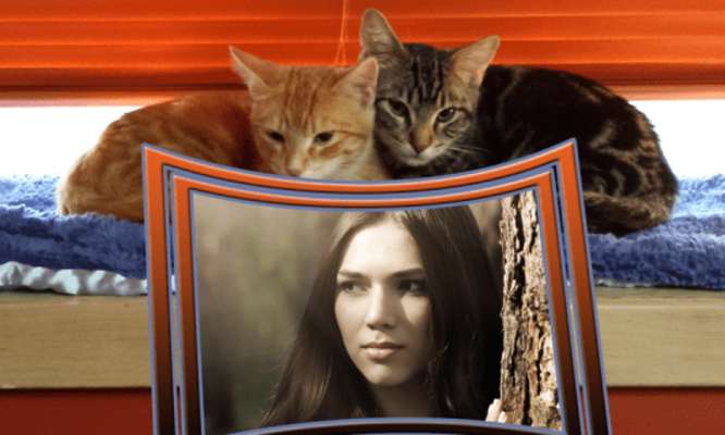 Play Best Animal Photo Editor 