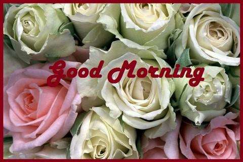 Play APK Best Good Morning Images  and enjoy Best Good Morning Images with UptoPlay com.smileappsmobile.bestgoodmorningimages2