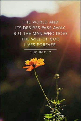 Play Bible daily verses 