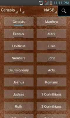 Play Bible NASB, New American Standard (English) 