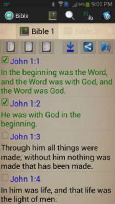 Play Bible (offline NIV, KJV, NLT) 
