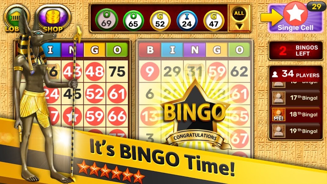 Play Bingo - Pharaoh's Way 