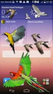 Play Bird Flying in Phone Prank 