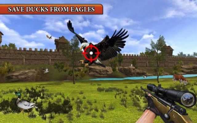 Play Bird Real Expert Hunter Shooting Play Bird Real Expert Hunter Shooting