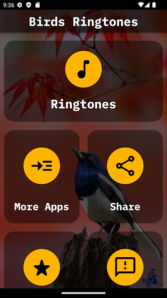 Play APK Bird Ringtones  and enjoy Bird Ringtones with UptoPlay com.freeforfun.birdringtones