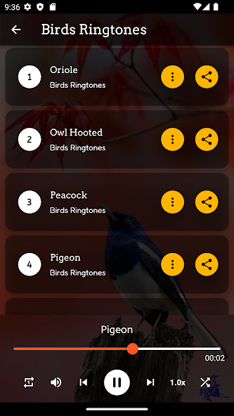 Play APK Bird Ringtones  and enjoy Bird Ringtones with UptoPlay com.freeforfun.birdringtones