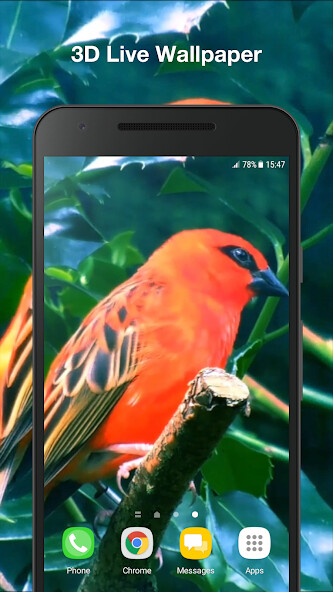 Play Birds Live Wallpaper 