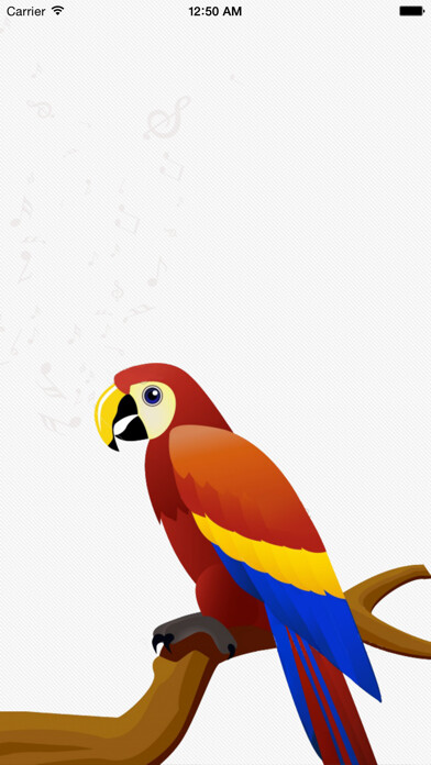 Play اصوات الطيور - Birds Sounds 